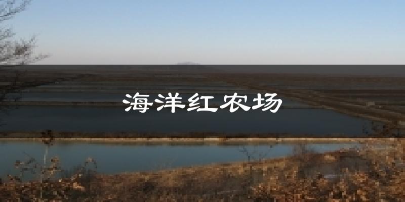 海洋红农场天气未来15天