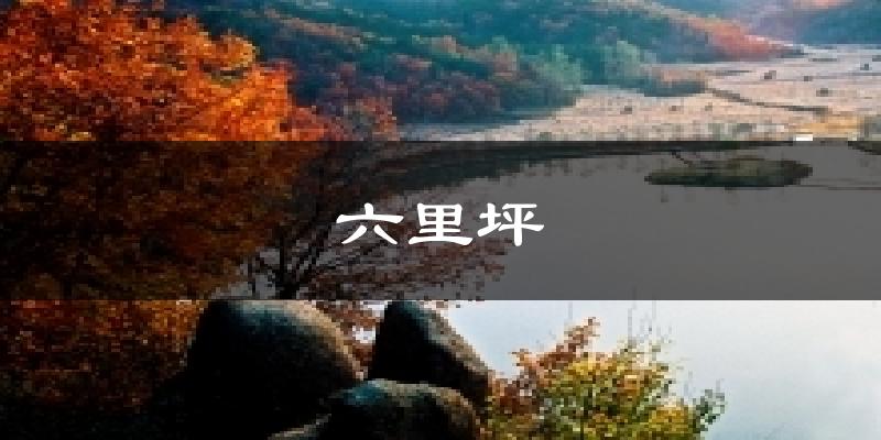 六里坪今日天气