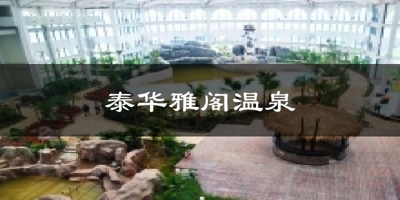 泰华雅阁温泉天气未来15天