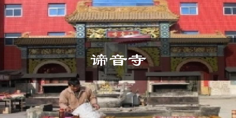 谛音寺今日天气