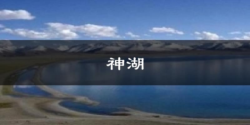 神湖天气未来15天