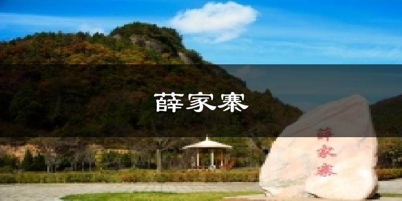 薛家寨天气未来15天
