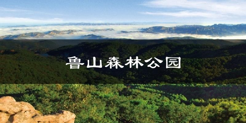 鲁山森林公园天气未来15天