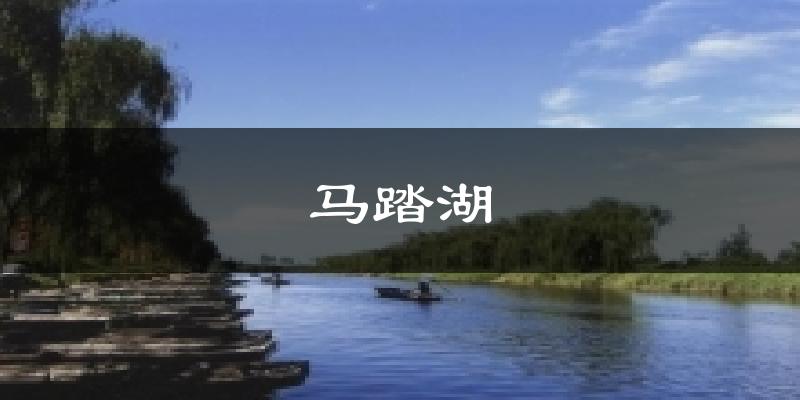 马踏湖今日天气