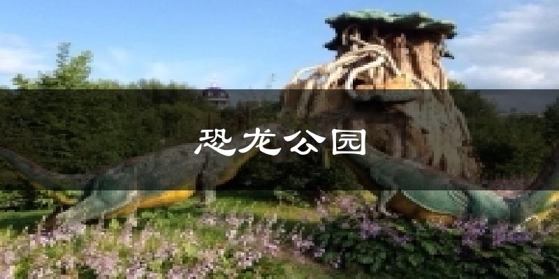 恐龙公园今日天气