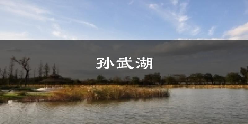 孙武湖今日天气