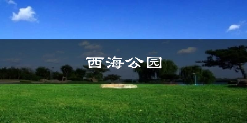 西海公园今日天气
