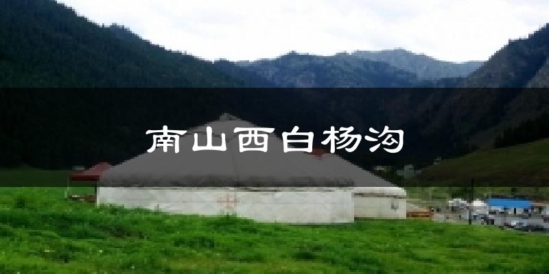 南山西白杨沟天气未来15天