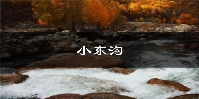 小东沟天气未来15天