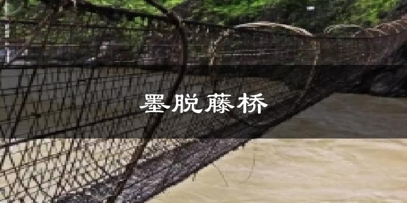 墨脱藤桥天气未来15天
