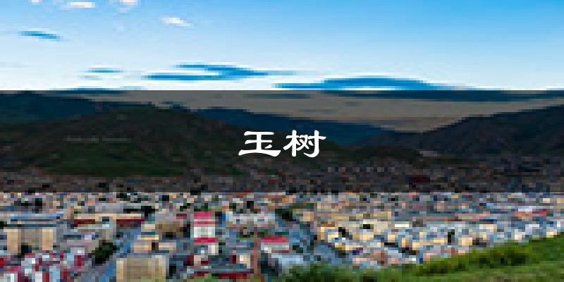 玉树天气预报未来一周