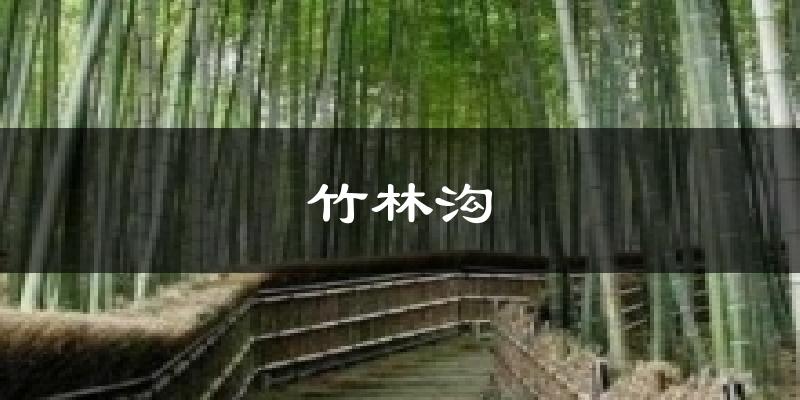 竹林沟今日天气