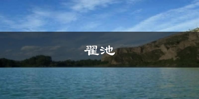 翟池今日天气