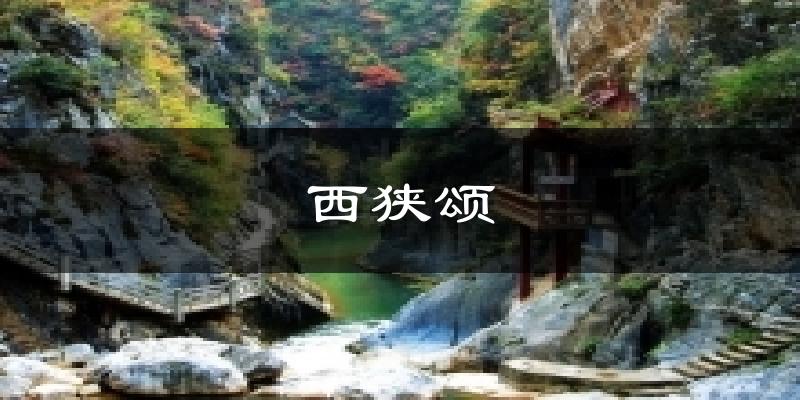 西狭颂今日天气