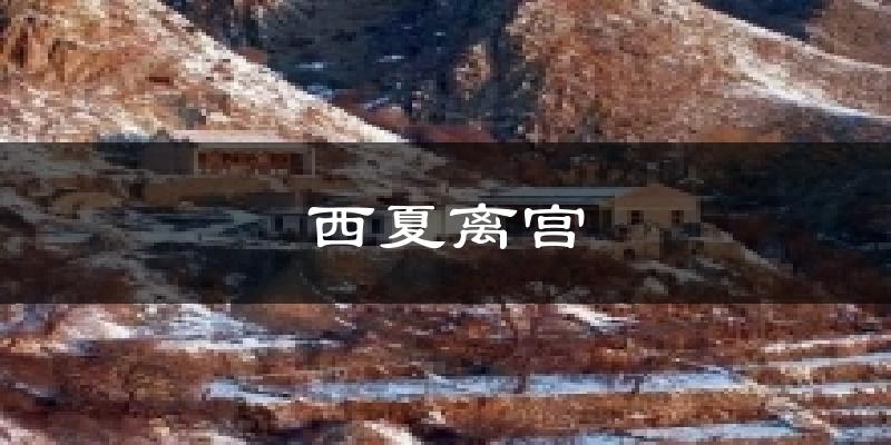 西夏离宫气温