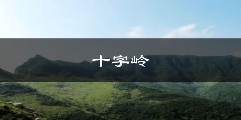 十字岭今日天气