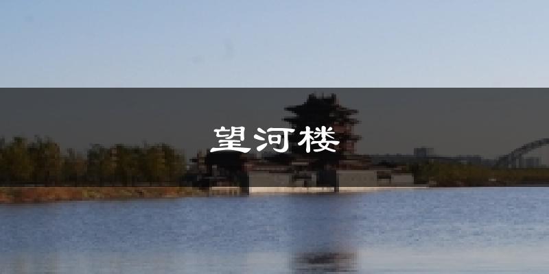 望河楼今日天气