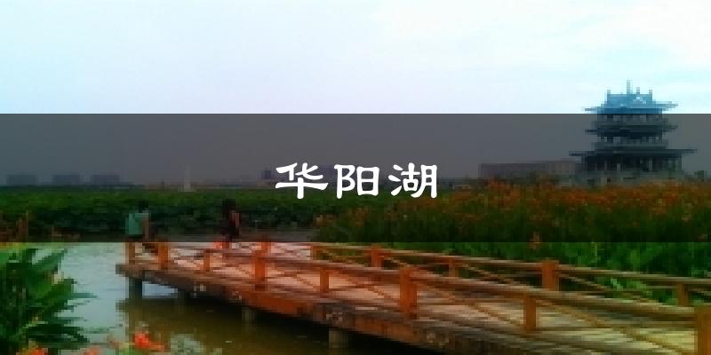 华阳湖天气未来15天