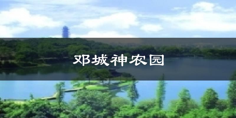 邓城神农园今日天气