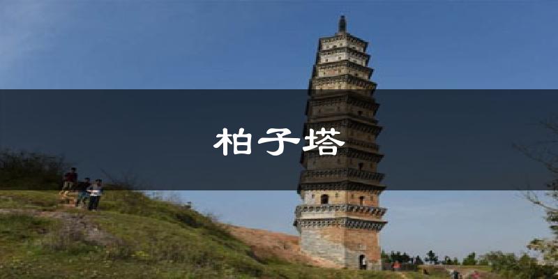 柏子塔气温