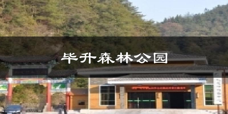 毕升森林公园天气未来15天