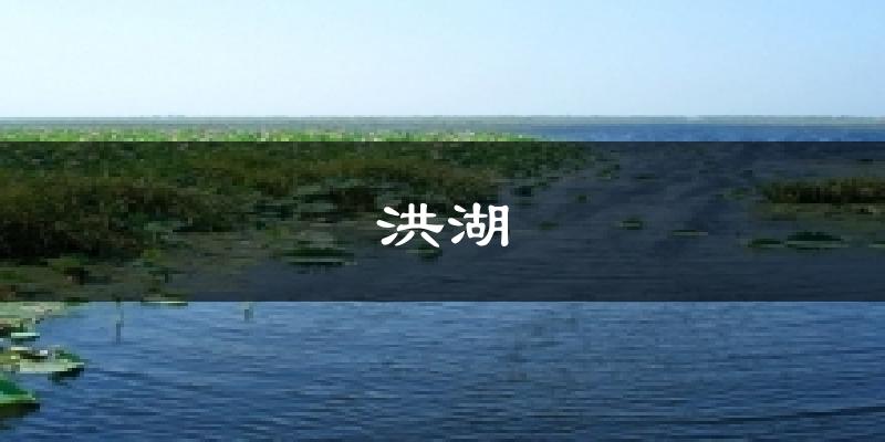 洪湖今日天气