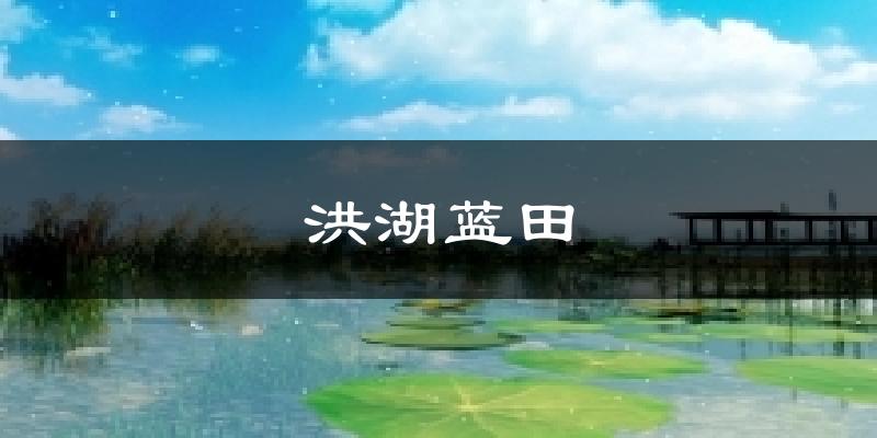 洪湖蓝田今日天气