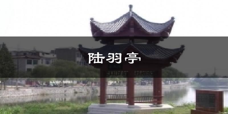 陆羽亭今日天气