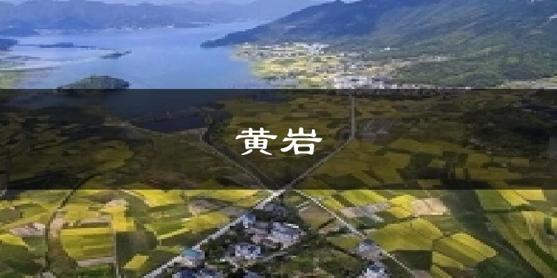 黄岩今日天气