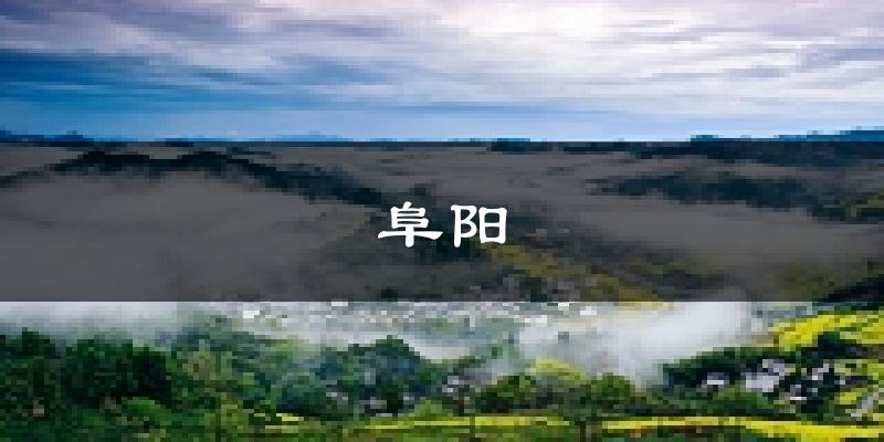 阜阳天气预报未来一周