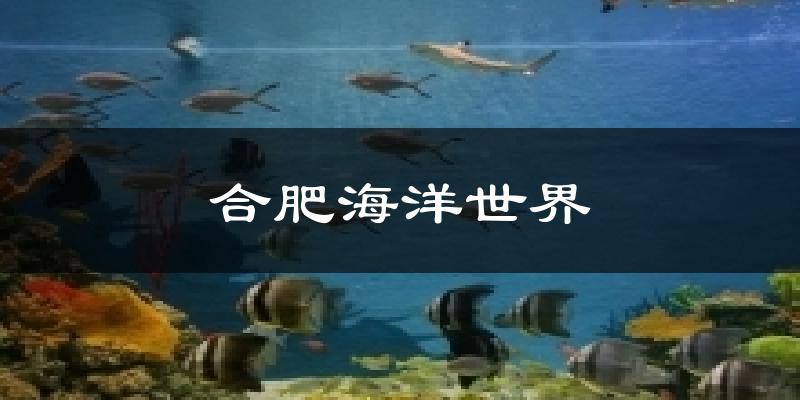 合肥海洋世界今日天气
