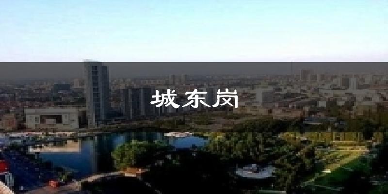 城东岗今日天气