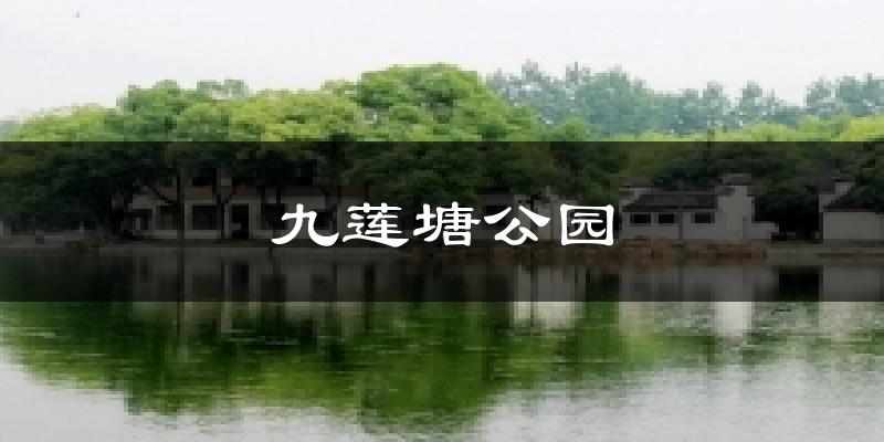 九莲塘公园天气未来15天