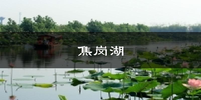 焦岗湖今日天气