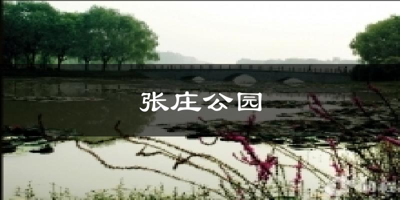 张庄公园今日天气