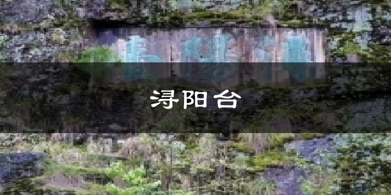 浔阳台天气未来15天