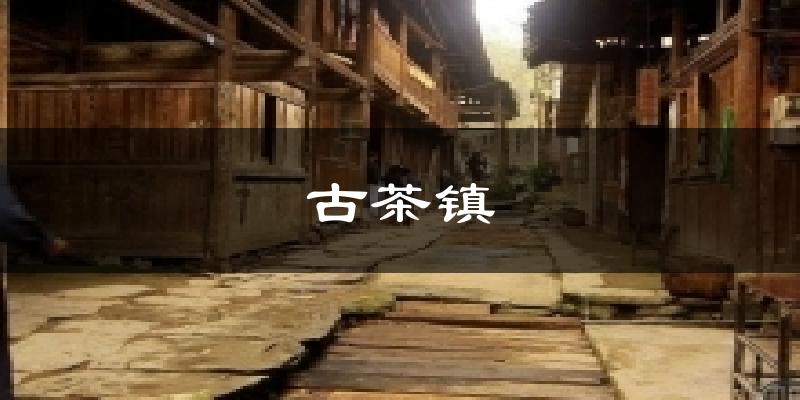 古茶镇今日天气