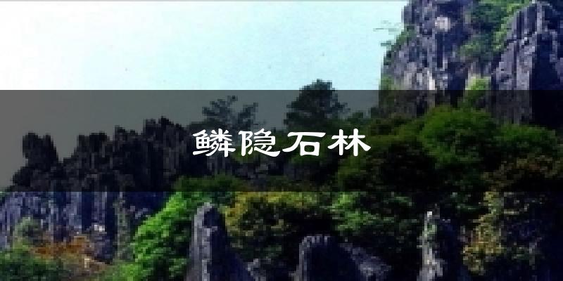 鳞隐石林天气未来15天