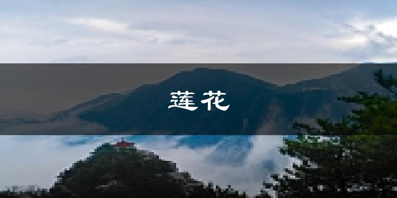 莲花天气预报未来一周