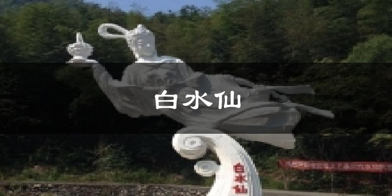白水仙今日天气