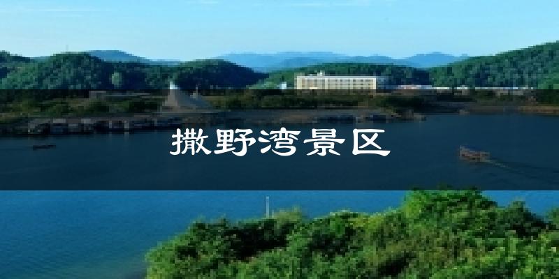 撒野湾景区气温