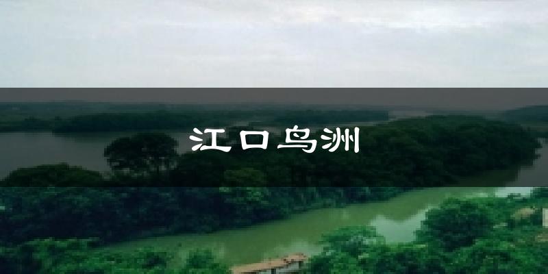 江口鸟洲今日天气