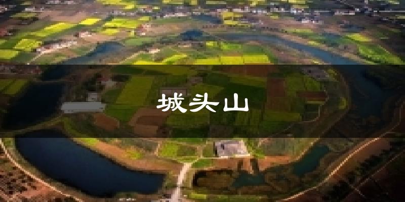城头山气温
