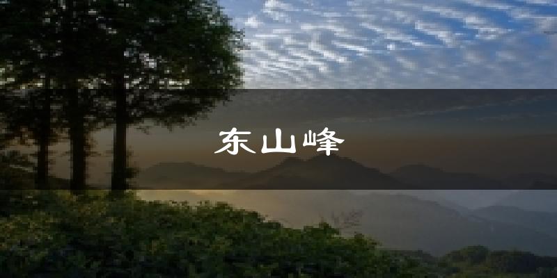 东山峰今日天气