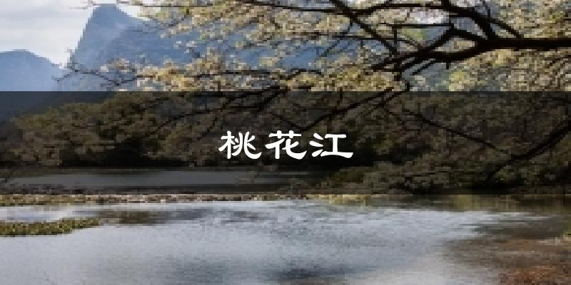 桃花江气温