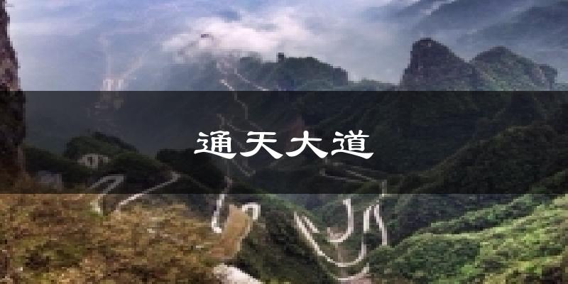 通天大道天气未来15天