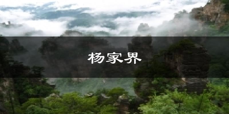 杨家界气温