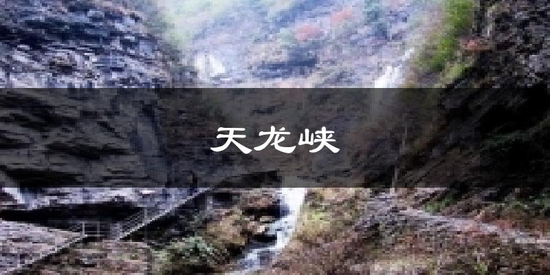 天龙峡今日天气