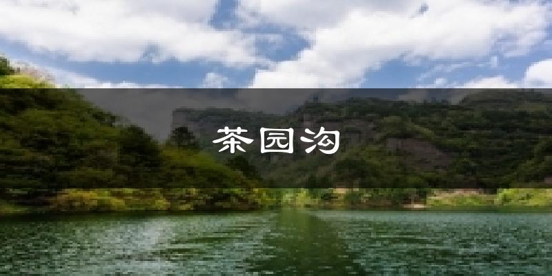 茶园沟今日天气