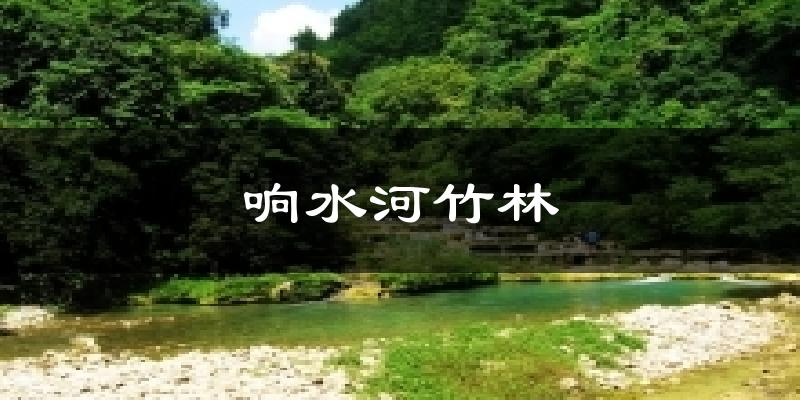 响水河竹林天气未来15天